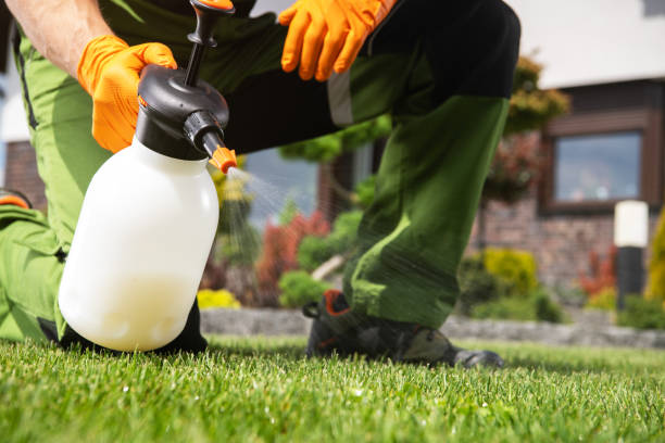 Best Pest Control for Multi-Family Homes  in Blue Jay, OH